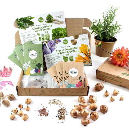 Grow Club Discovery Box - one time Gift Box